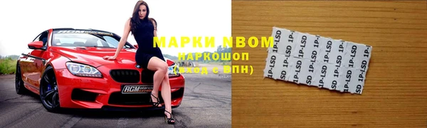 прущий лед Алзамай