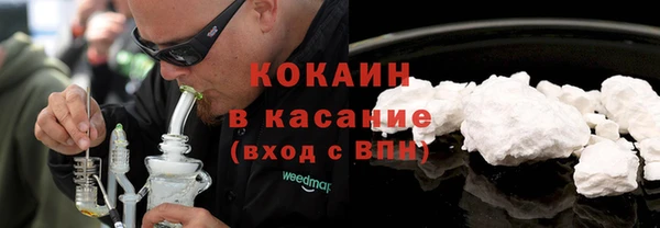 прущий лед Алзамай