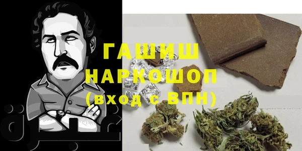 прущий лед Алзамай