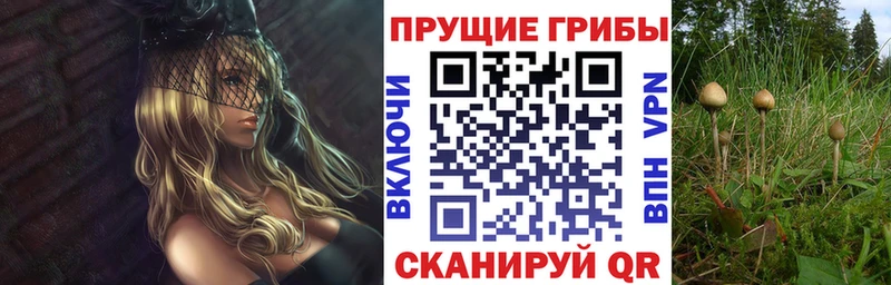 цена наркотик  Новоульяновск  Псилоцибиновые грибы Magic Shrooms 